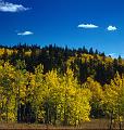 aspen 2